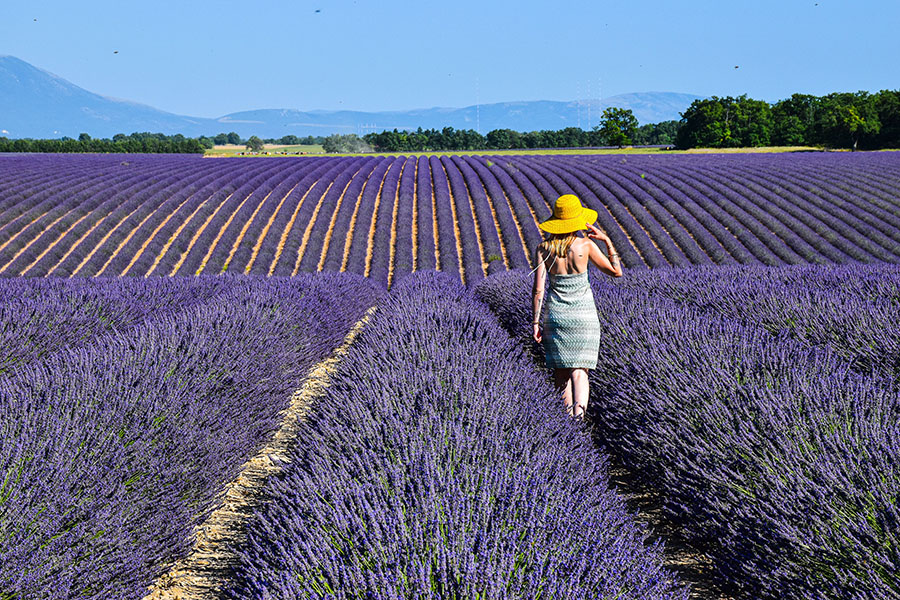 Frau mit gelbem Hut in einem Lavendelfeld in der Provence
