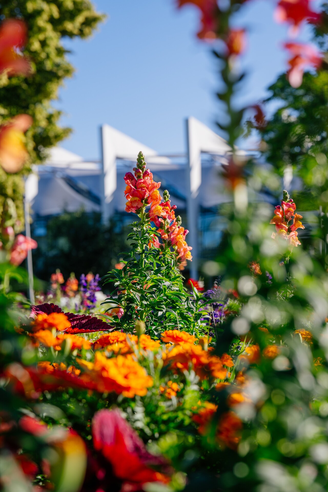 Erfurter Gartenausstellung ega