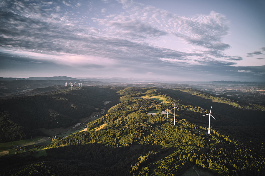 Weintouren Lahr — Landrover durch die Reben